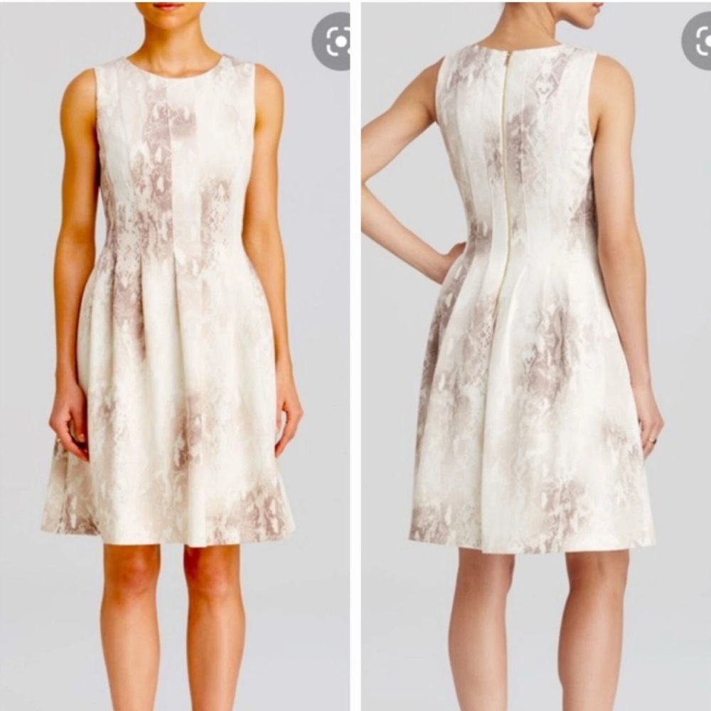 CALVIN KLEIN Women's 8 Cream Brown Snake Print Fit & Flare Scuba Dress Slimming